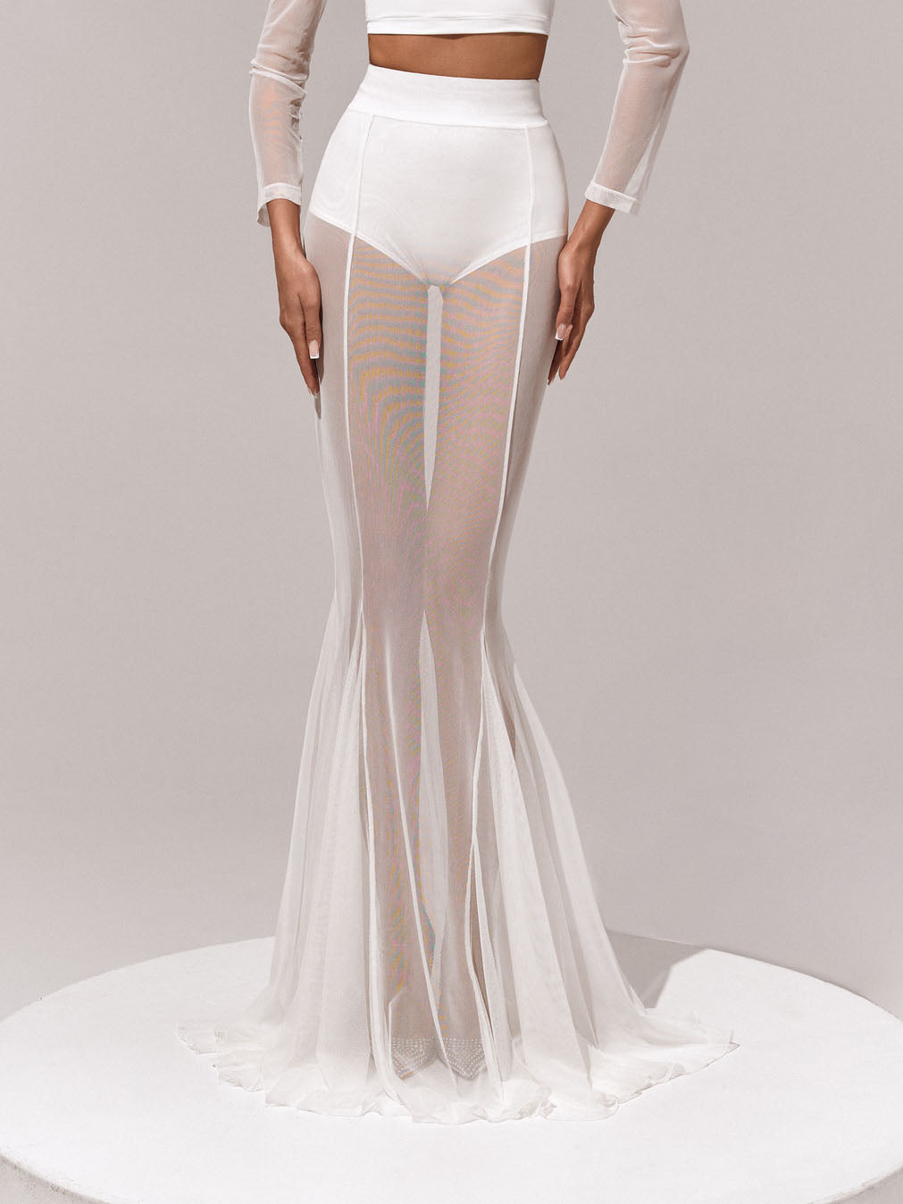 Elegant Sheer Mesh Flared Skirt