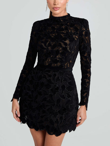 Elegant And Sophisticated Lace Mini Dress
