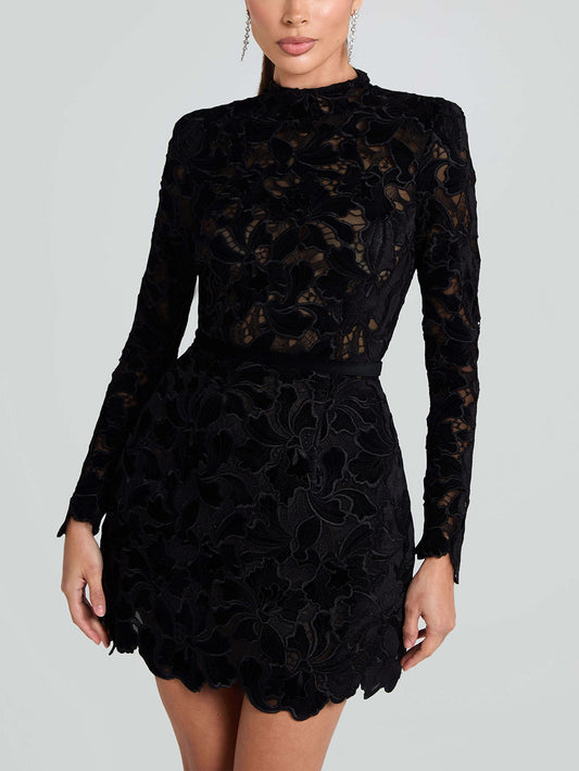 Elegant And Sophisticated Lace Mini Dress
